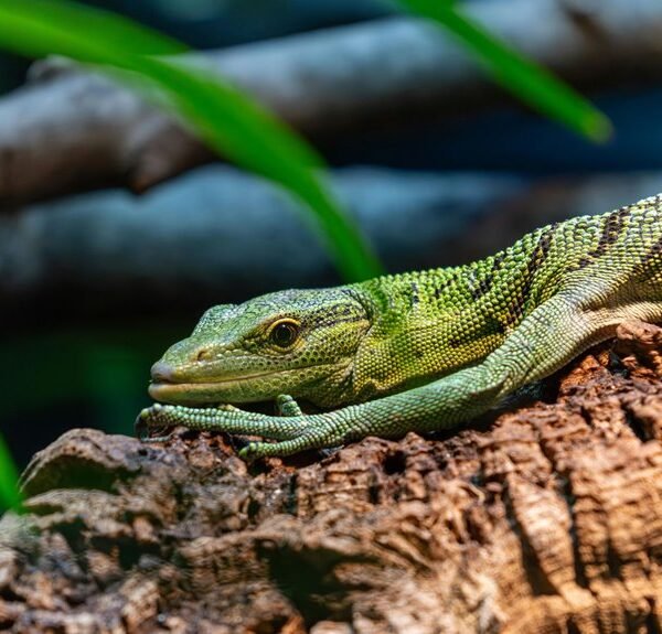 data pattern resonance log