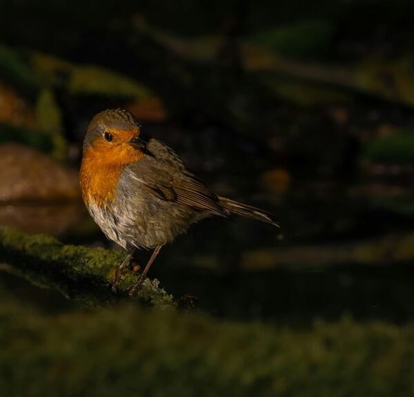 signal consistency log details