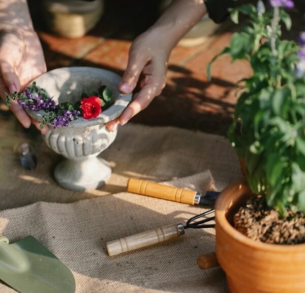 digital tools for growth