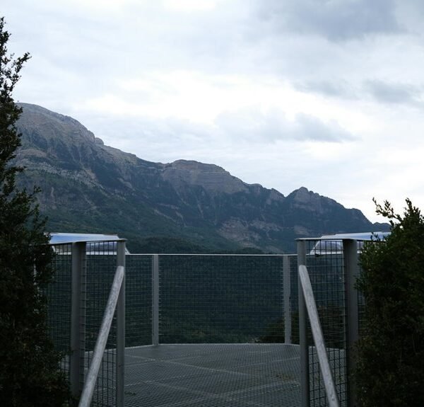 elevate online services platform