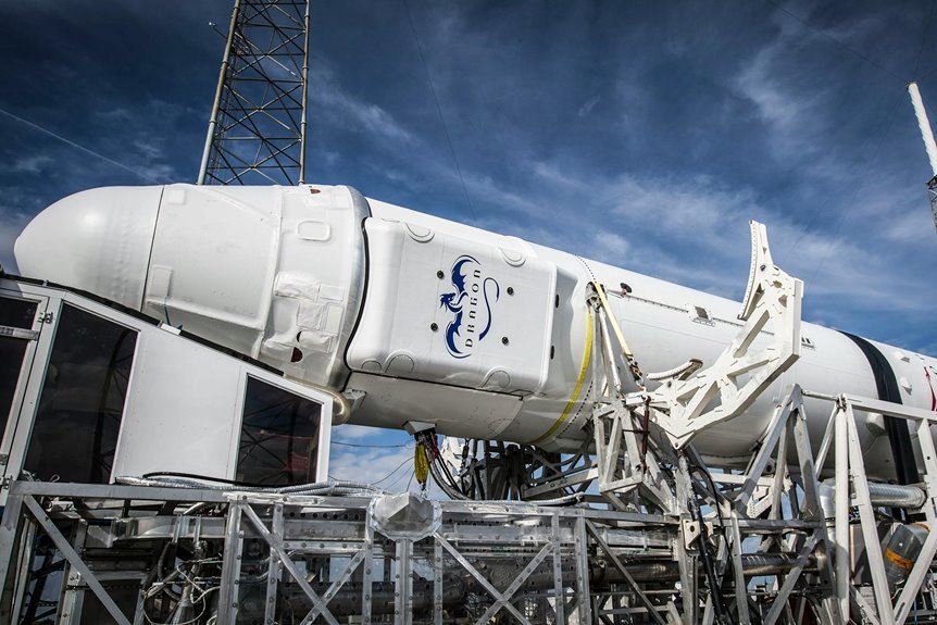 online platform service development